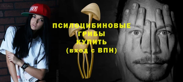 ешки Арсеньев